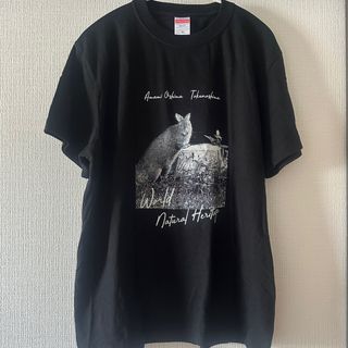 奄美大島　アマミノクロウサギ　Tシャツ　M(Tシャツ/カットソー(半袖/袖なし))