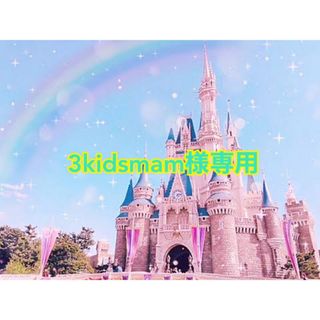 《3kidsmam様専用》お名前ワッペン(ネームタグ)