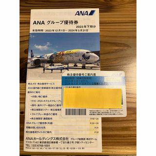 エーエヌエー(ゼンニッポンクウユ)(ANA(全日本空輸))のANA 優待券+グループ優待券冊子(航空券)