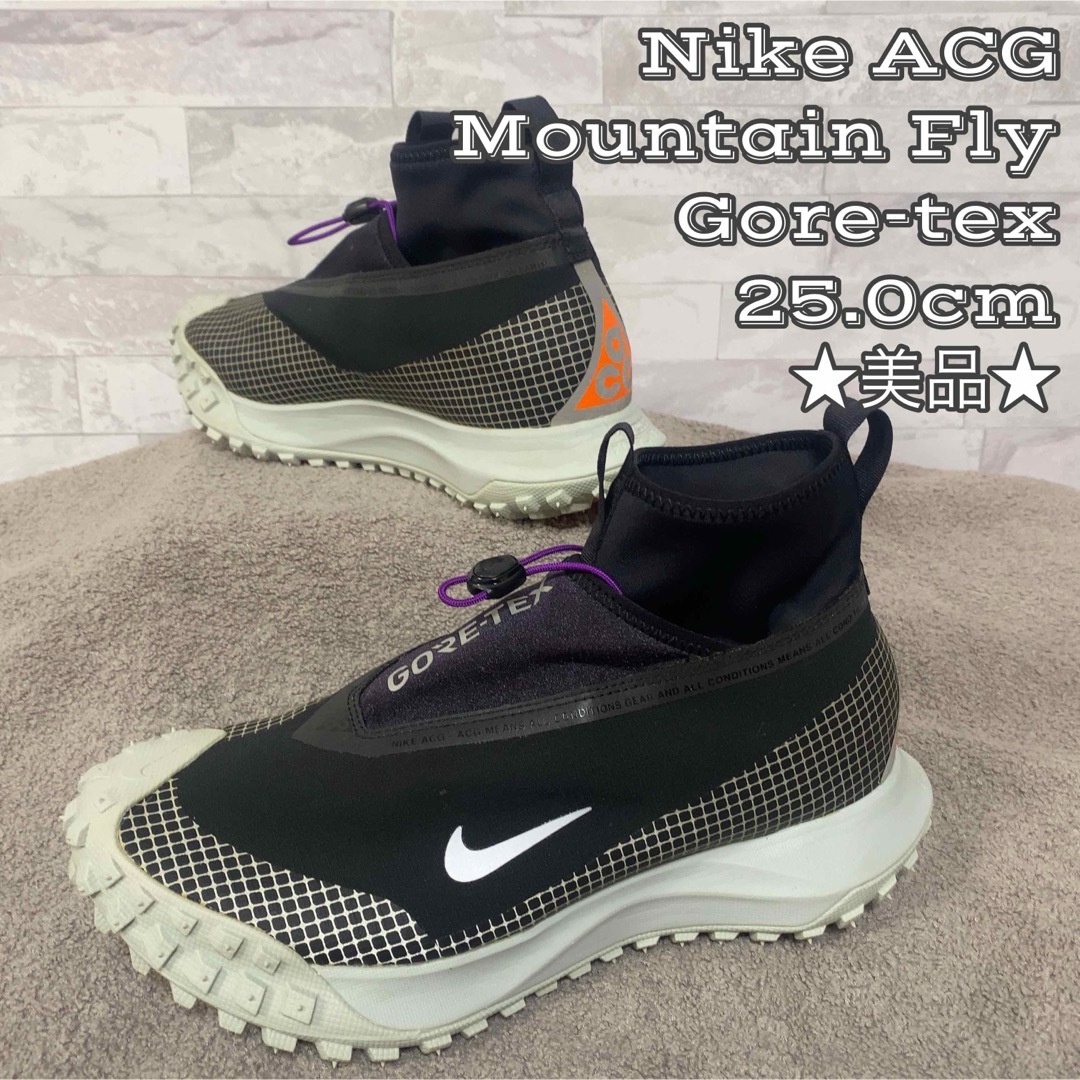 NIKE(ナイキ)の★美品★NIKE ACG MOUNTAIN FLY GORE-TEX メンズの靴/シューズ(スニーカー)の商品写真