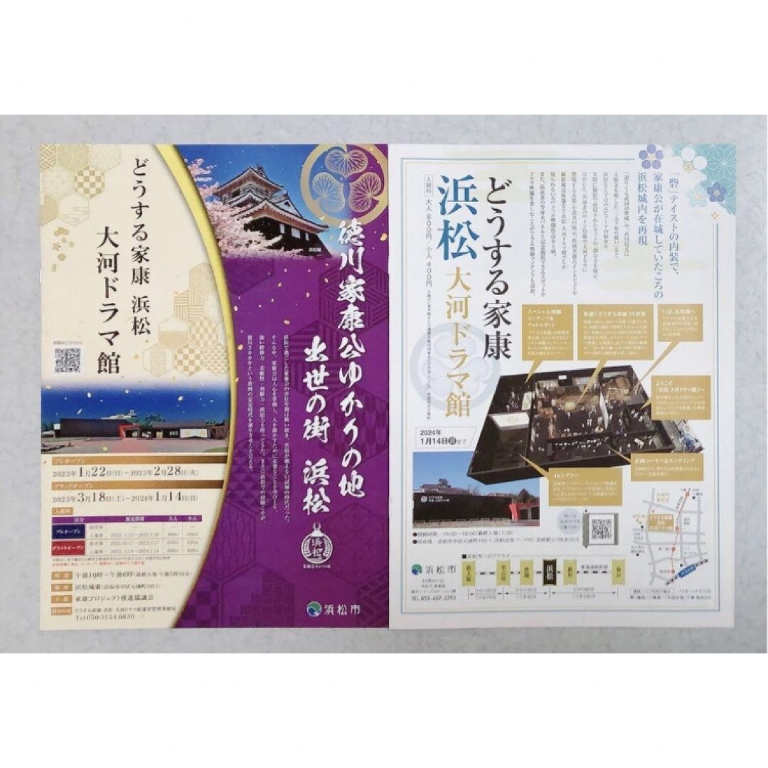 嵐(アラシ)の【計6冊セット】大河ドラマ どうする家康＋静岡県浜松市 エンタメ/ホビーのタレントグッズ(アイドルグッズ)の商品写真