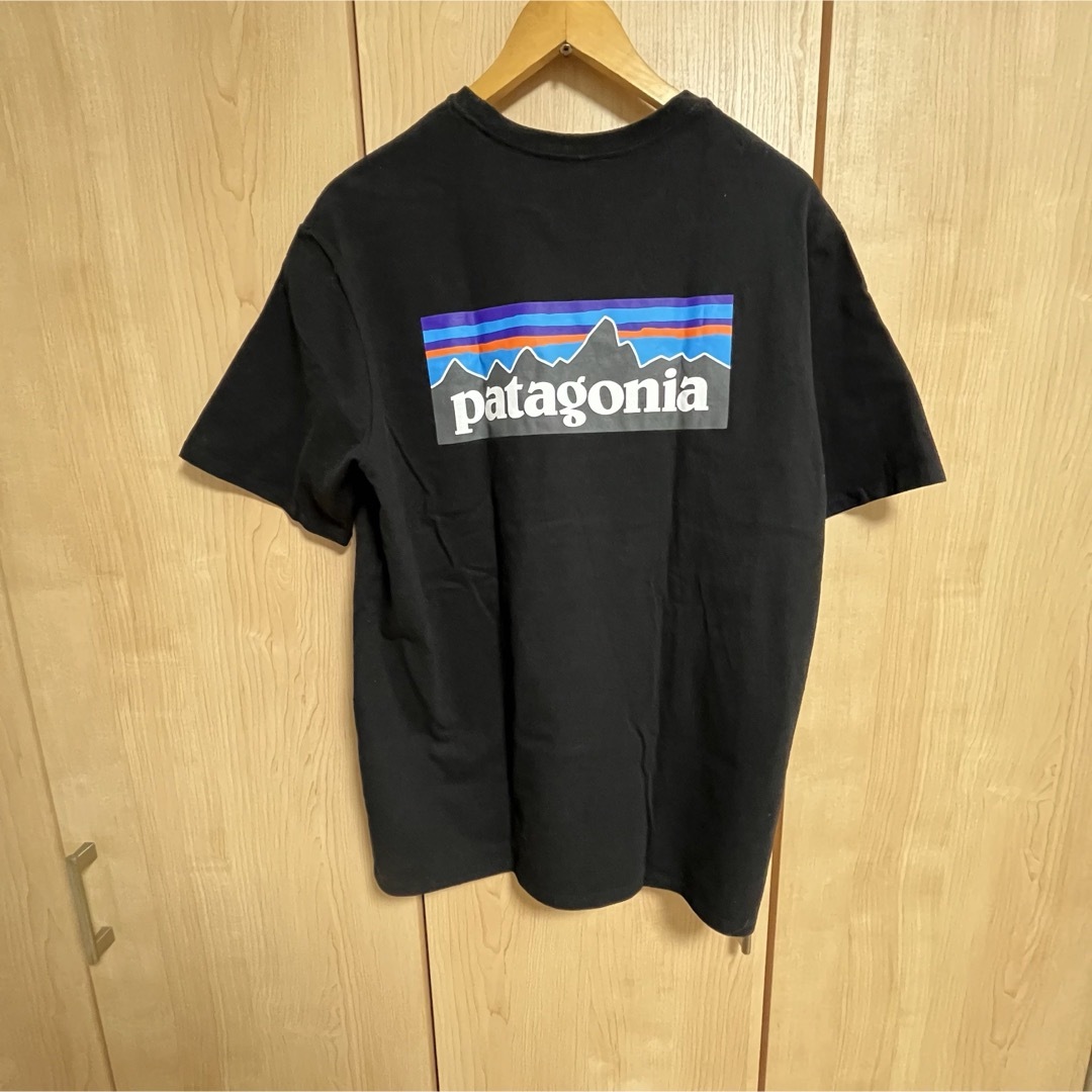 patagonia(パタゴニア)のpatagoniaパタゴニアＴシャツＭサイズ メンズのトップス(Tシャツ/カットソー(半袖/袖なし))の商品写真