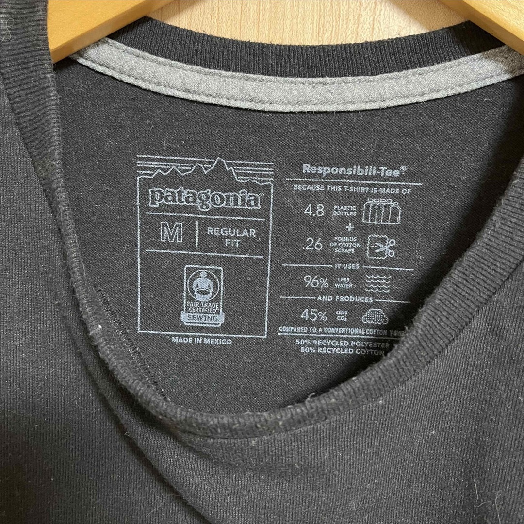 patagonia(パタゴニア)のpatagoniaパタゴニアＴシャツＭサイズ メンズのトップス(Tシャツ/カットソー(半袖/袖なし))の商品写真