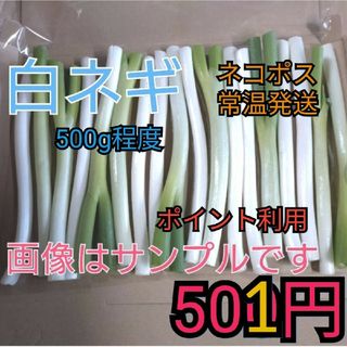 ポイント利用※白ネギ（細い）ネコポス常温発送５００g程度(野菜)