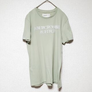 アバクロンビーアンドフィッチ(Abercrombie&Fitch)のAbercrombie＆Fitch メンズ 半袖Tシャツ ライトグリーン　サイズ(Tシャツ/カットソー(半袖/袖なし))