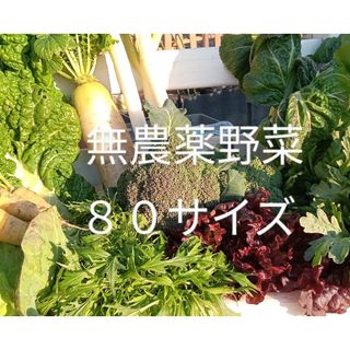 無農薬野菜　お野菜詰め合わせ　新鮮　大阪産地直送　naru様専用(野菜)