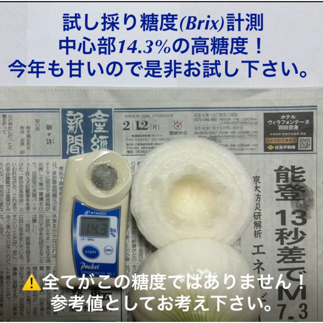 ま〜様用＜訳あり＞淡路島産新玉ねぎ10kg+5kg 高糖度 新玉葱 新たまねぎ  食品/飲料/酒の食品(野菜)の商品写真