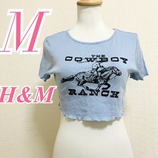 エイチアンドエム(H&M)のディバイデッド　エイチアンドエム　半袖カットソー　M　ブルー　ブラック　メロウ(カットソー(半袖/袖なし))