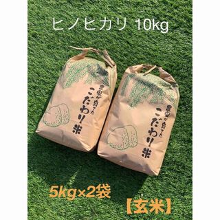 令和5年産 ひのひかり　玄米  新米10kg  （5kg×2袋）(米/穀物)