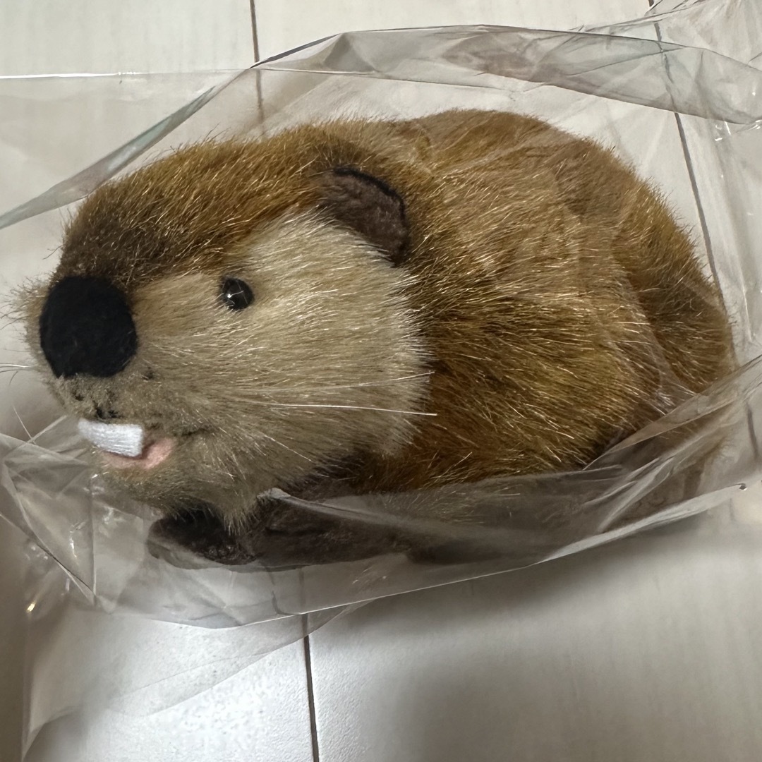 SUPER BEAVER スーパービーバーちゃん ぬいぐるみ 吉徳 SUPER BEAVER スーパービーバーちゃん ぬいぐるみ 吉徳