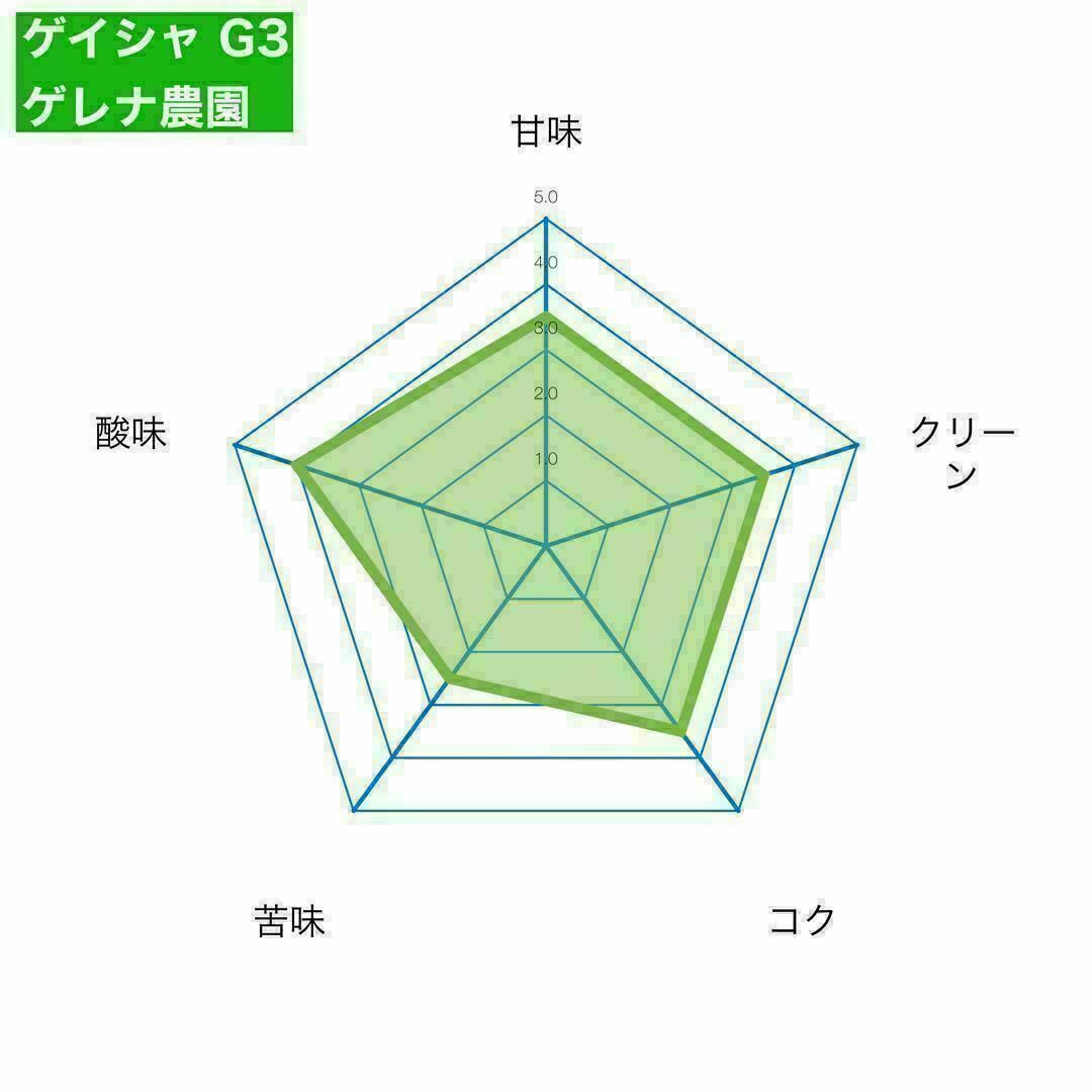 エチオピア ゲイシャG3 ナチュラル 200g 自家焙煎コーヒー豆 食品/飲料/酒の飲料(コーヒー)の商品写真