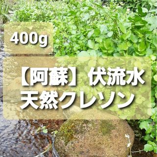 【阿蘇】天然クレソン４００ｇ(野菜)