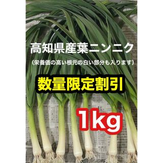 高知県産葉にんにく　葉ニンニク　産地直送1kg wjgt(野菜)