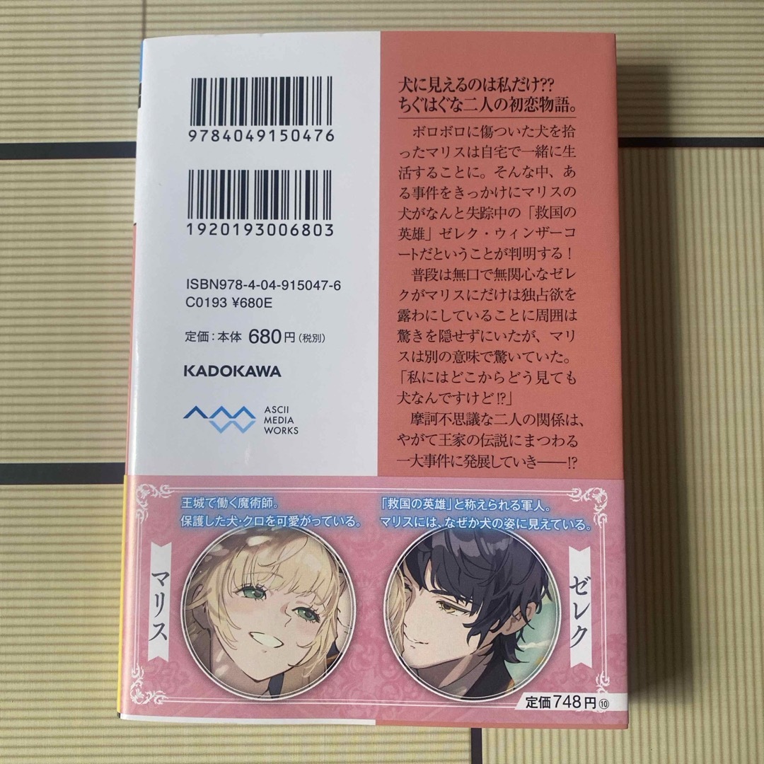 犬を拾った、はずだった。　わけありな二人の初恋事情 エンタメ/ホビーの本(文学/小説)の商品写真