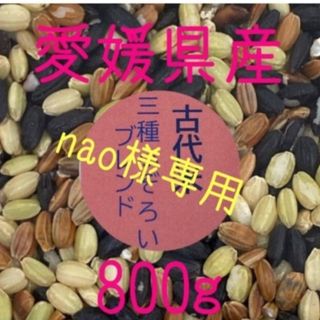 nao様専用　古代米3種ふぞろいブレンド　愛媛県産　800ｇ(米/穀物)