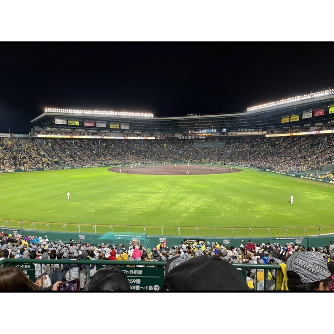 【最終値下】4/18(木) 阪神vs巨人 レフト外野指定席 上段通路側2席 チケットのスポーツ(野球)の商品写真