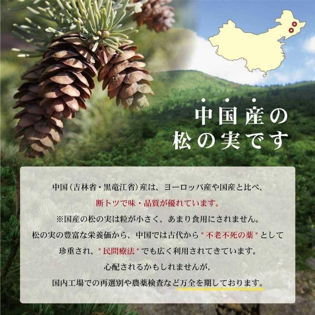 スーパーフード　陸の牡蠣 松の実100g　製菓材料 薬膳 無添加 無農薬 食品/飲料/酒の食品/飲料/酒 その他(その他)の商品写真