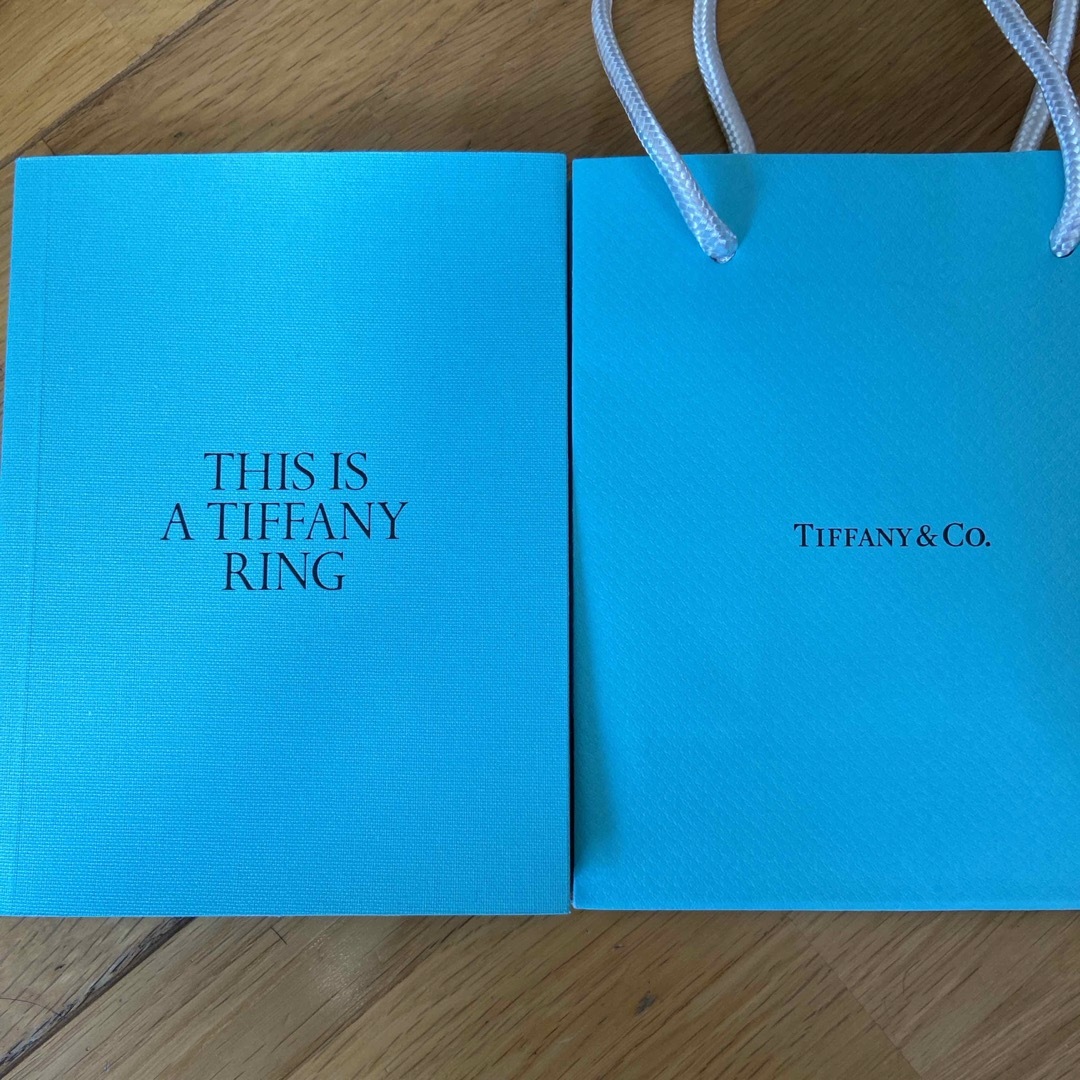 Tiffany & Co.(ティファニー)のティファニー　カタログ紙袋 レディースのバッグ(ショップ袋)の商品写真