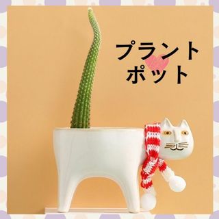 プラント　ポット　ネコ(赤緑マフラー)　ガーデニング　オブジェ(花瓶)