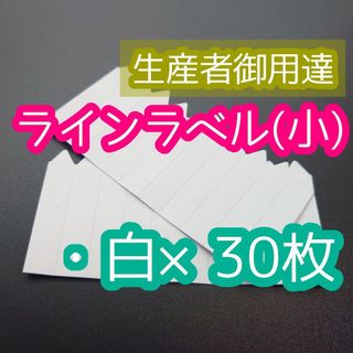 ラインラベル 小 白 30枚 園芸カラーラベル 多肉植物 エケベリア(プランター)