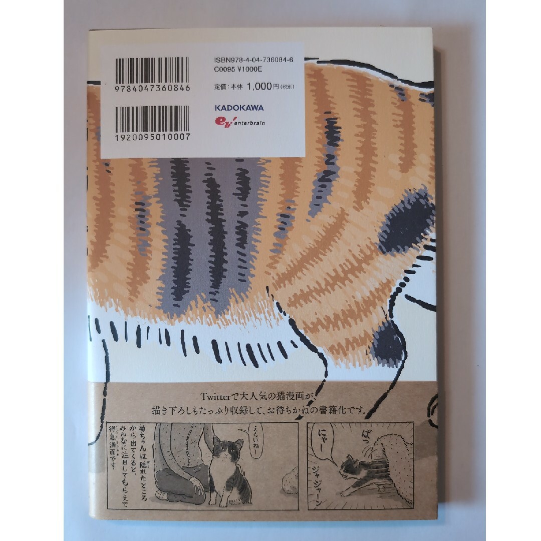 角川書店(カドカワショテン)の猫の菊ちゃん エンタメ/ホビーの本(文学/小説)の商品写真