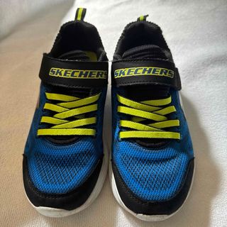 スケッチャーズ(SKECHERS)のSKECHERS スケッチャーズ 22cm(スニーカー)