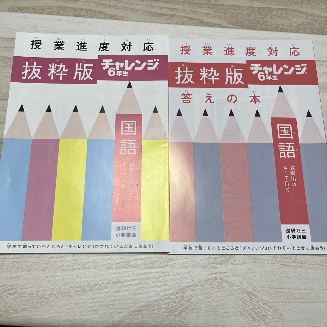 Benesse(ベネッセ)の進研ゼミ小学講座　チャレンジ 6年生　国語【未記入！】 エンタメ/ホビーの本(語学/参考書)の商品写真