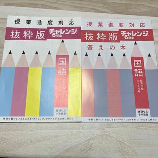 ベネッセ(Benesse)の進研ゼミ小学講座　チャレンジ 6年生　国語【未記入！】(語学/参考書)