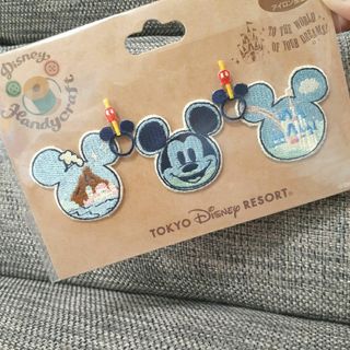 ディズニー(Disney)のディズニーリゾート ワッペン リゾートライン 窓 つり革(キャラクターグッズ)