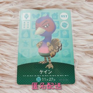 ニンテンドウ(任天堂)のあつ森 どう森 amiiboカード ケイン(カード)