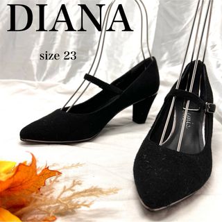 ダイアナ(DIANA)の【定番】ダイアナ　スウェードパンプス　ポインテッドトゥ　ストラップ(ハイヒール/パンプス)