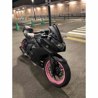 スズキ - GSX250R