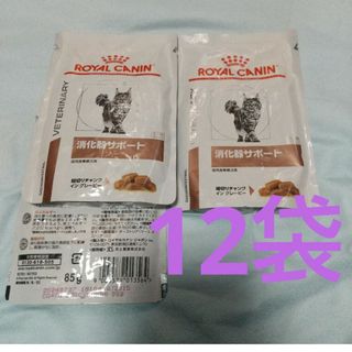 ROYAL CANIN - 猫 消化器サポート パウチ