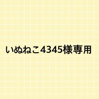 キングアンドプリンス(King & Prince)のいぬねこ4345様専用(アイドル)