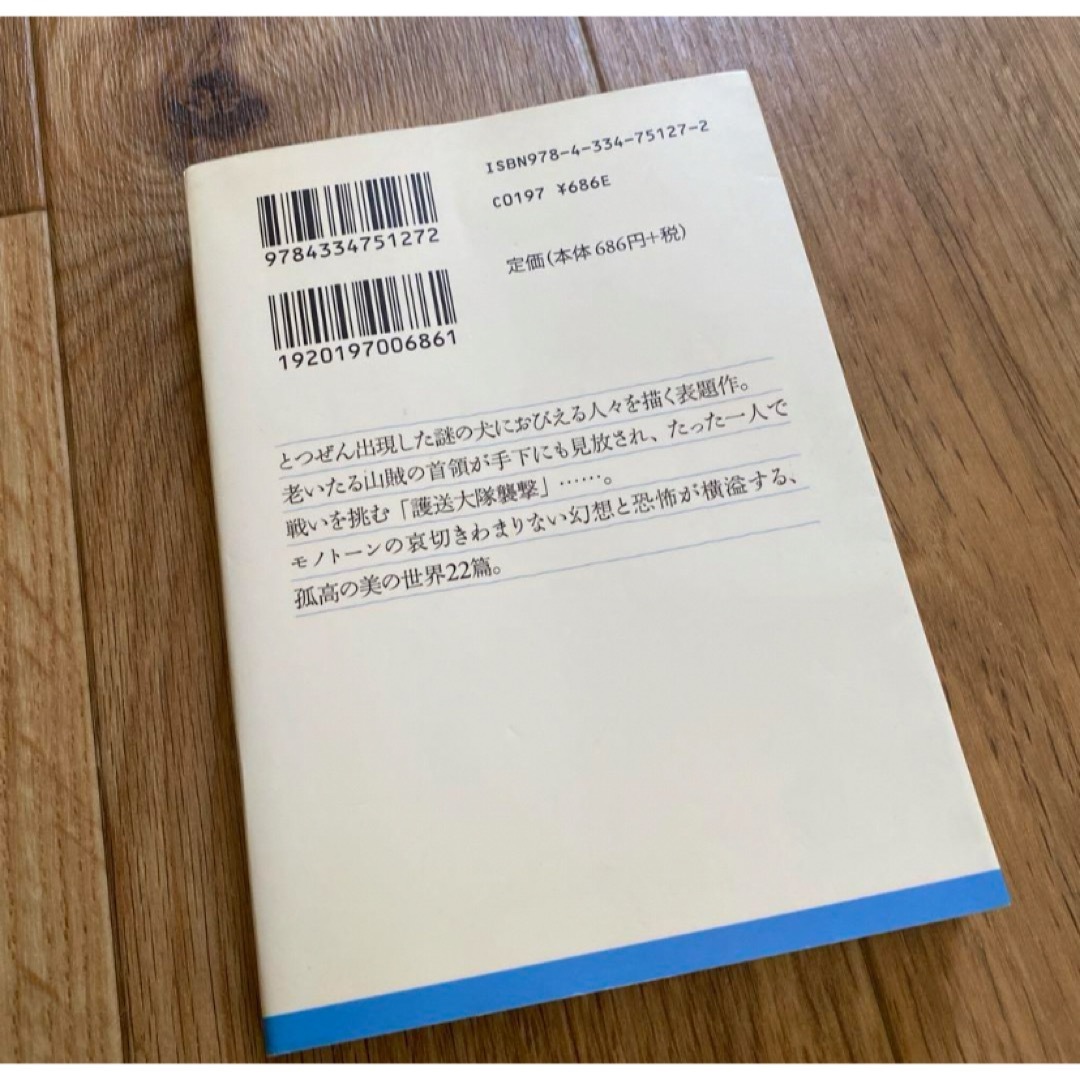 光文社(コウブンシャ)の神を見た犬 / ブッツァーティ / 関口英子 エンタメ/ホビーの本(文学/小説)の商品写真