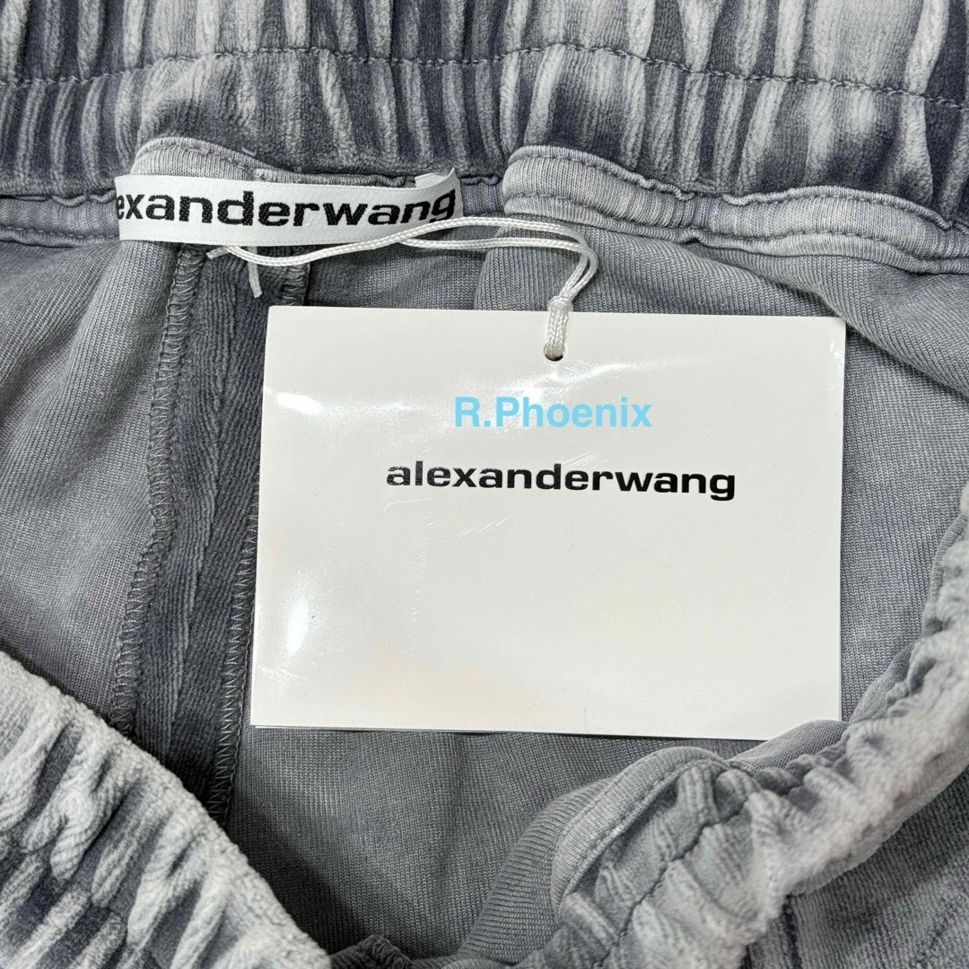Balenciaga(バレンシアガ)の【ALEXANDER WANG】TRACK PANT IN VELOUR S メンズのパンツ(その他)の商品写真