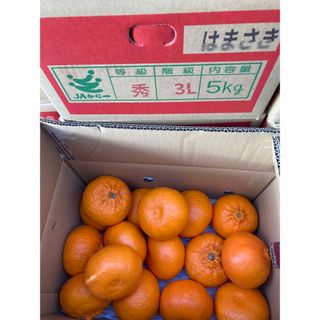 785.佐賀県産 高級ブランド柑橘 せとか　麗紅　秀品「はまさき」箱込み5kg(フルーツ)