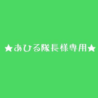 矢沢永吉ステッカー★あひる隊長様専用★(ミュージシャン)