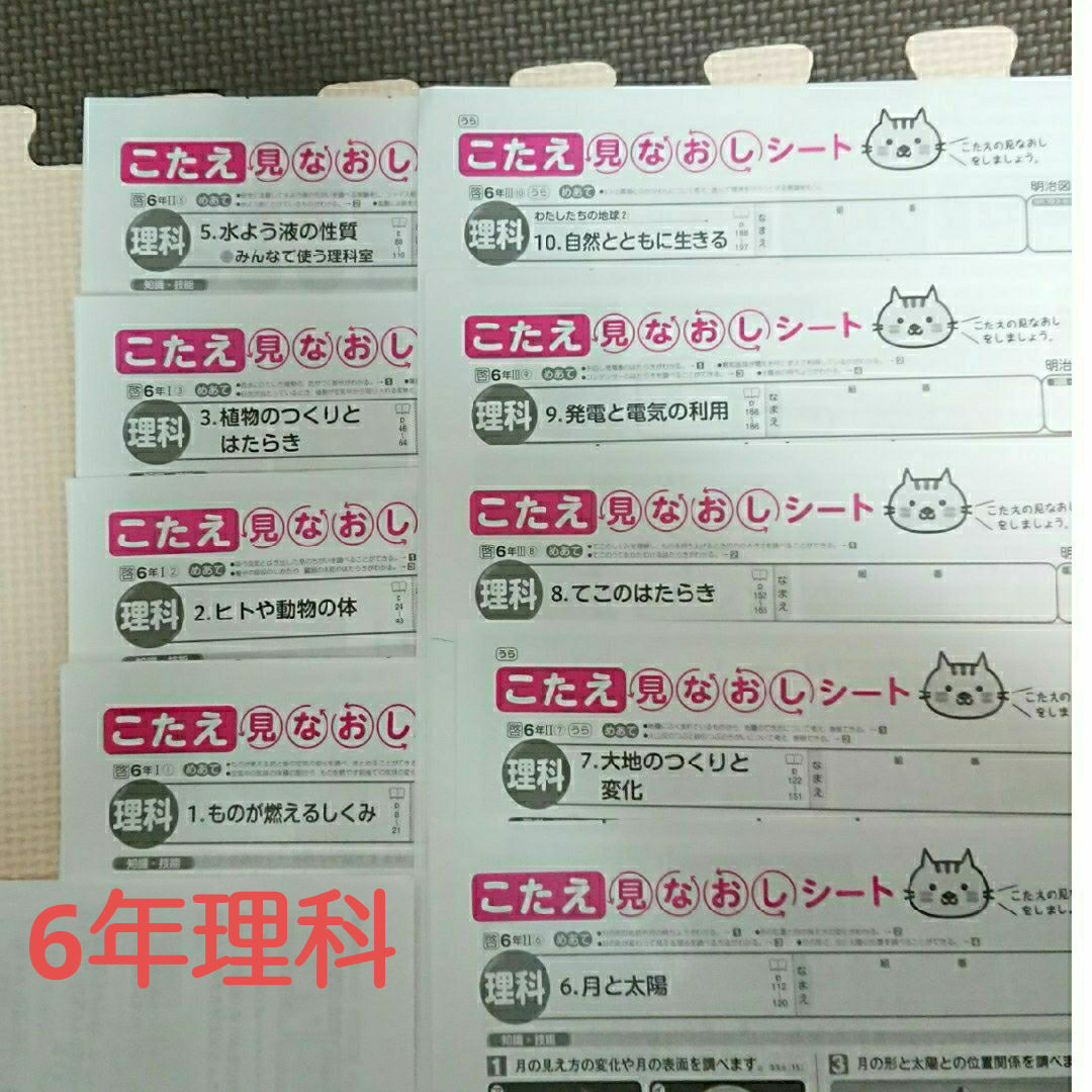 6年生 理科 こたえ見なおしシート 9枚 エンタメ/ホビーの本(語学/参考書)の商品写真