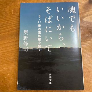 魂でもいいから、そばにいて(その他)