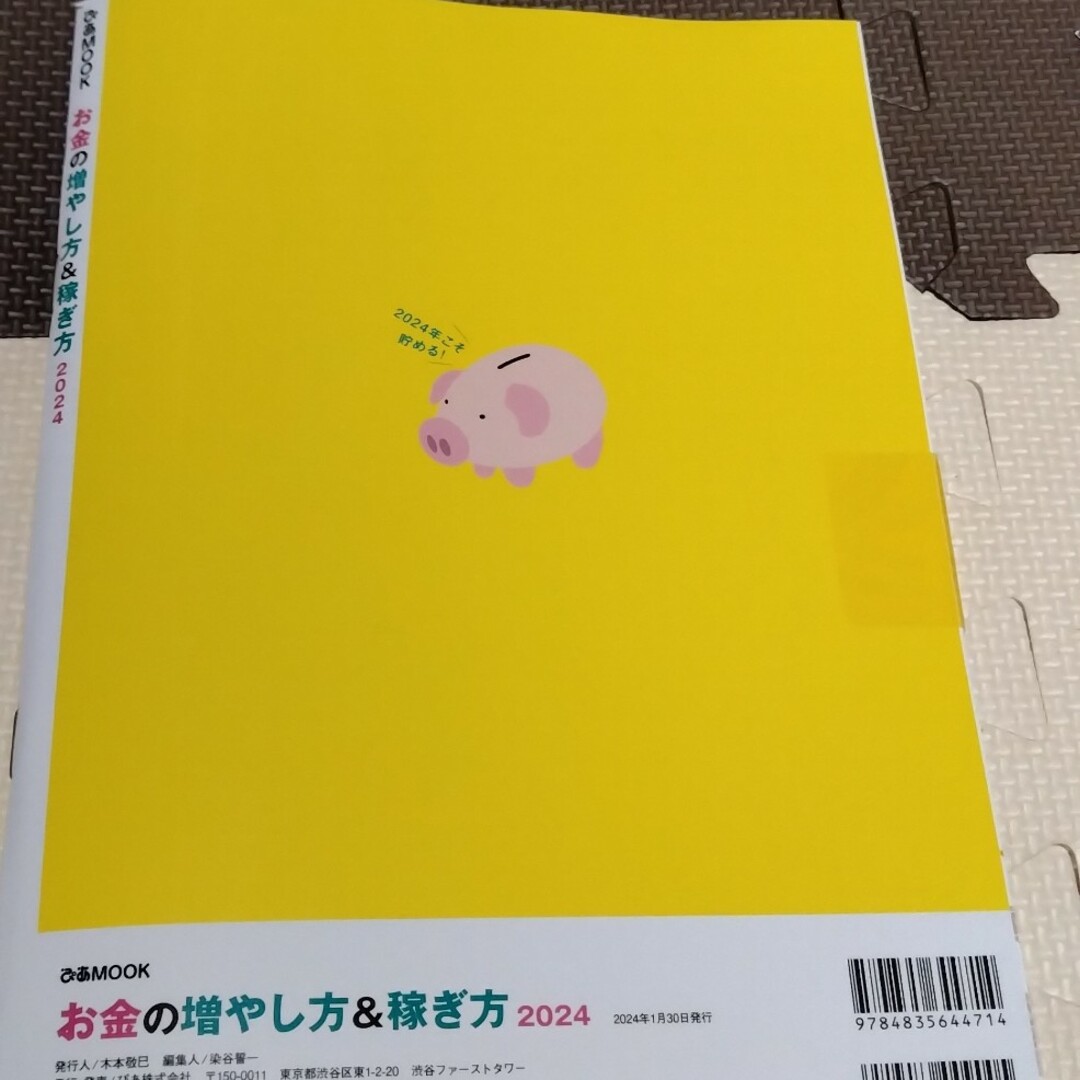 お金の増やし方＆稼ぎ方  本 、雑誌   送料込 エンタメ/ホビーの本(趣味/スポーツ/実用)の商品写真