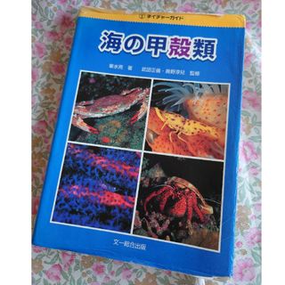 海の甲殻類(科学/技術)