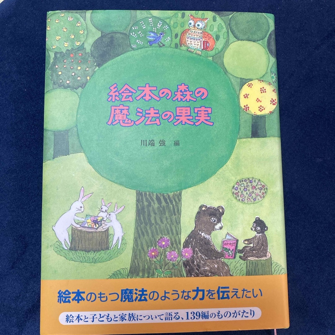 絵本の森の魔法の果実　川端　強　編　童話館出版 エンタメ/ホビーの本(その他)の商品写真