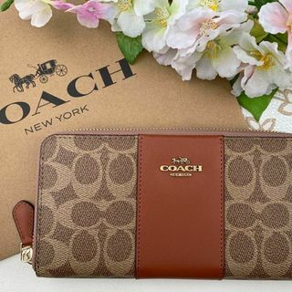 COACH シグネチャー ブラウン ライン 茶色(財布)