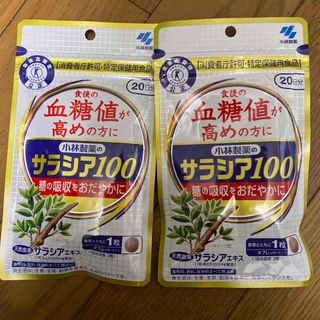 コバヤシセイヤク(小林製薬)の小林製薬 サラシア100 20日分 2袋セット 賞味期限 26年8月(その他)