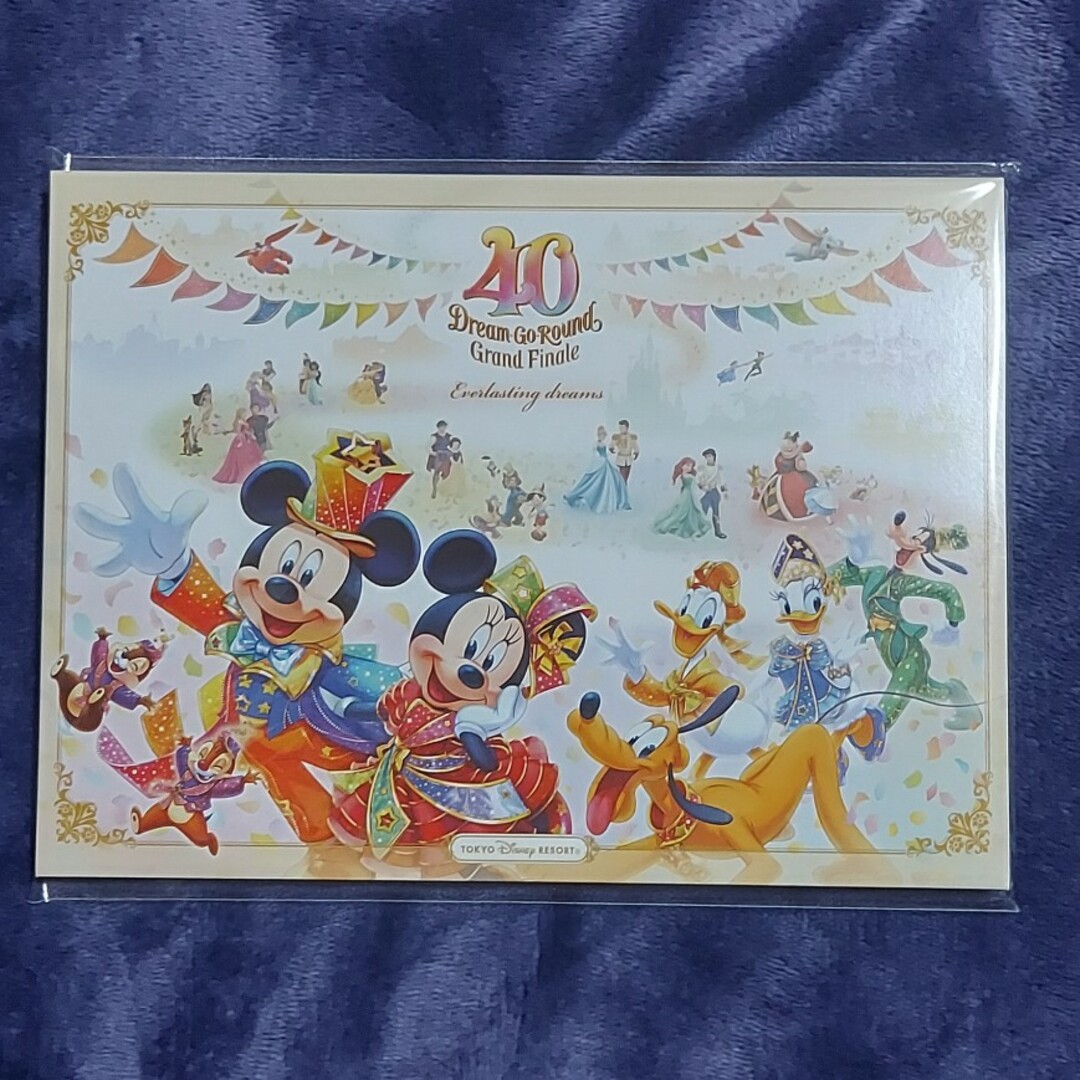 Disney(ディズニー)のディズニー　40周年　フリーきっぷ チケットの施設利用券(遊園地/テーマパーク)の商品写真