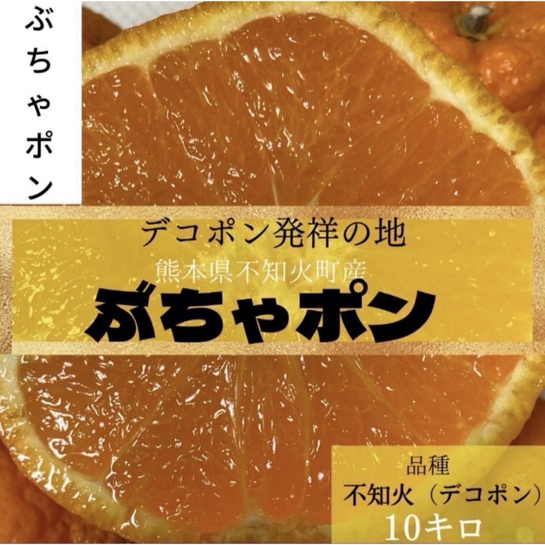 デコポン　発祥の地！　熊本本場の不知火町 『ぶちゃポン』１０Kg みかん　大容量 食品/飲料/酒の食品(フルーツ)の商品写真