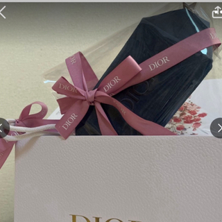 ディオール(Dior)のディオール  オファー　ポーチ　ネイビー　ショップ袋付き　おリボン付き(ポーチ)
