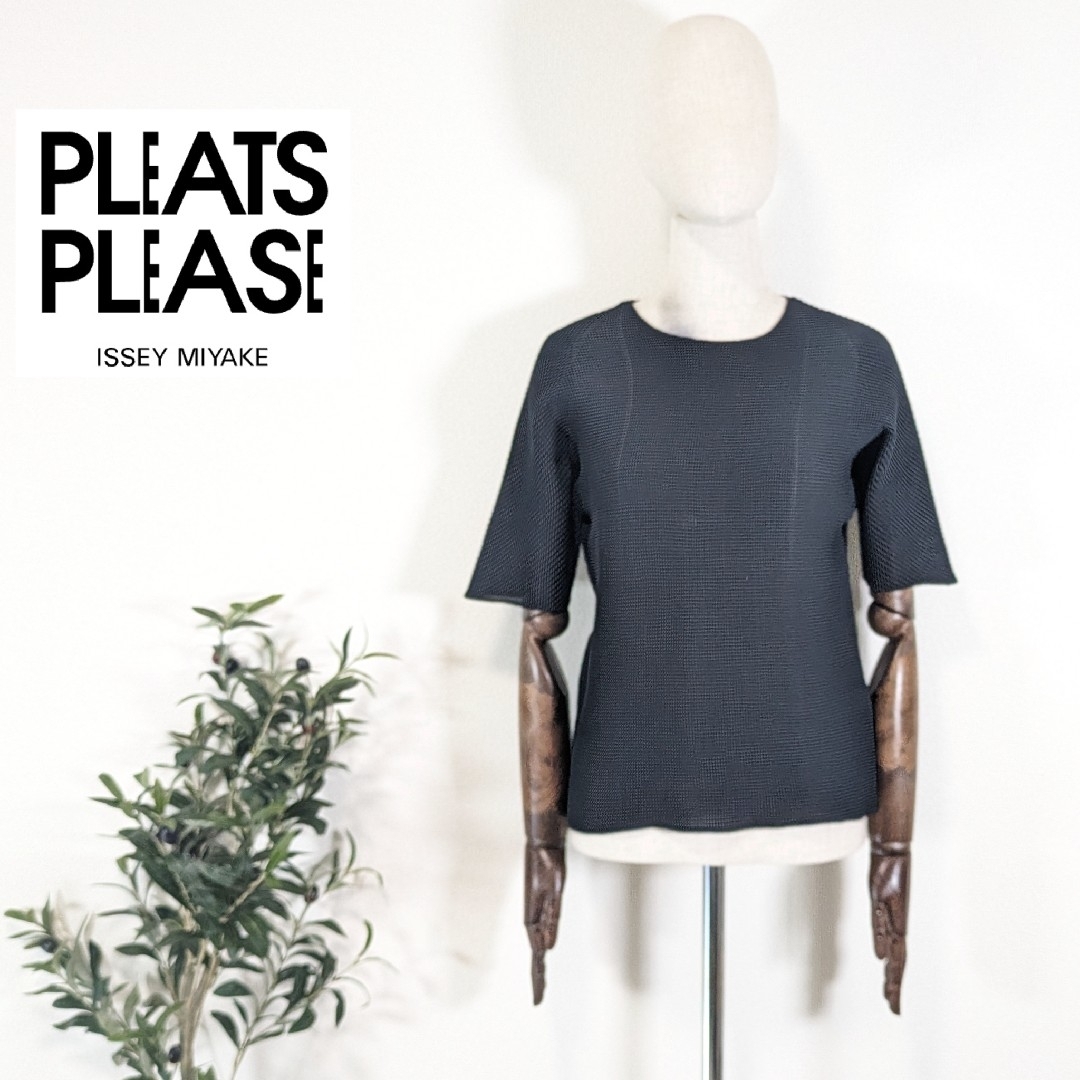 PLEATS PLEASE ISSEY MIYAKE(プリーツプリーズイッセイミヤケ)の★PLEATS PLEASE イッセイミヤケ★プリーツカットソー ブラック 半袖 レディースのトップス(カットソー(半袖/袖なし))の商品写真