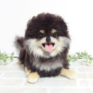 オーダー品　羊毛フェルト犬(ぬいぐるみ)